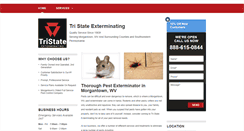 Desktop Screenshot of morgantownwvpestcontrol.com